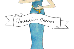 07_Gaurdian-Charm